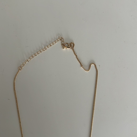 Francesca’s faux gold statement necklace - Picture 3 of 3